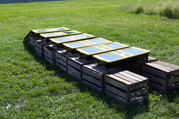 Everything we do at JUA Technologies, we do with a focus on sustainability