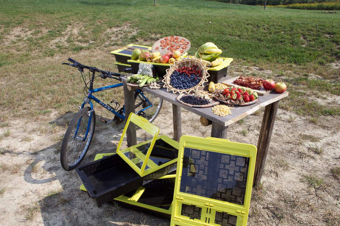 JUA Technologies solar food dryer