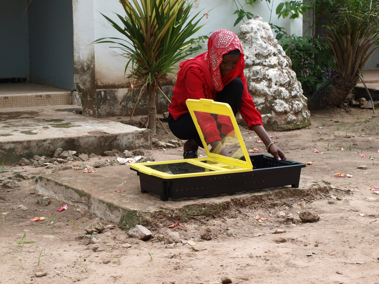 Solar Drying Tray - JUA Technologies International