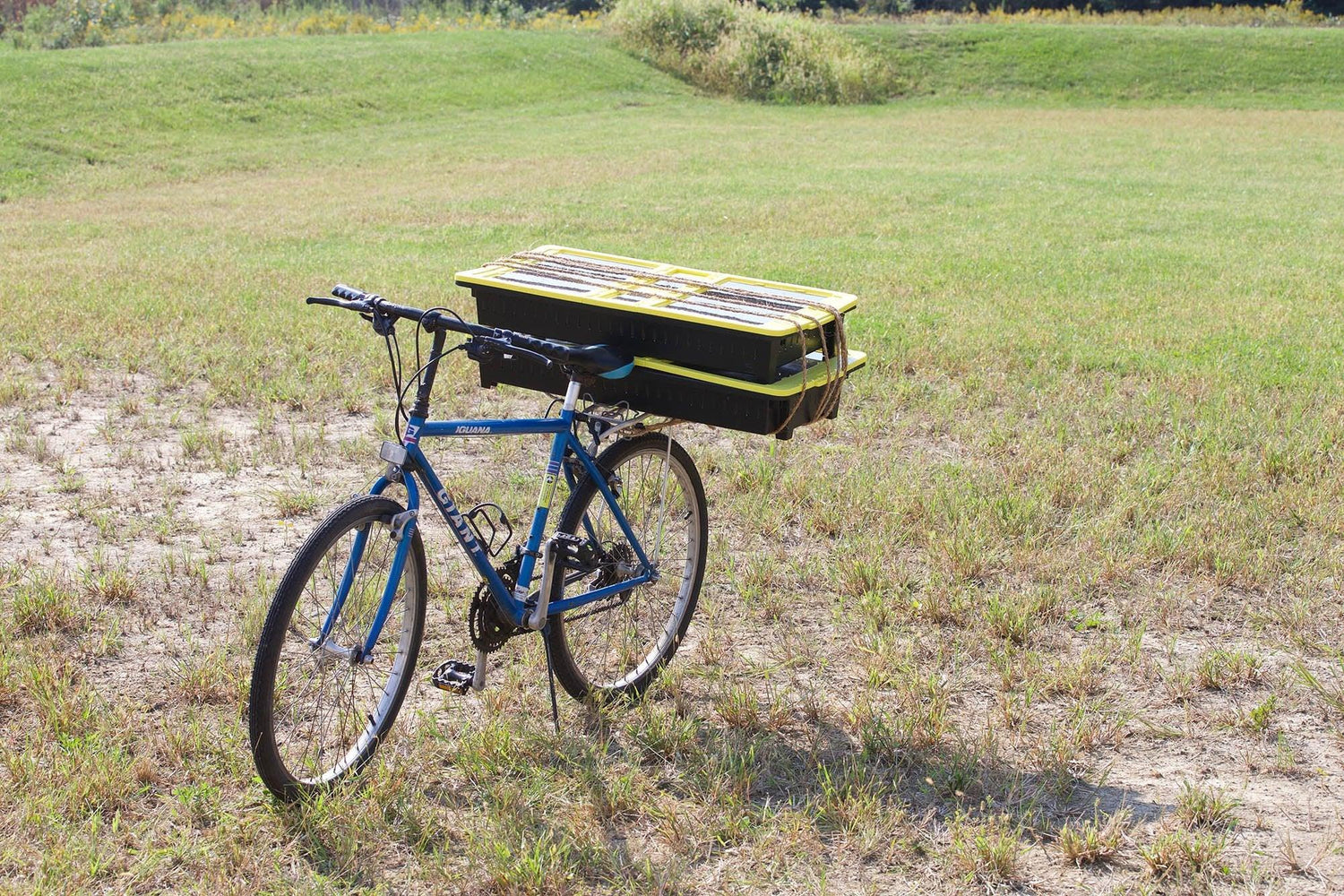 Solar Drying Tray - JUA Technologies International