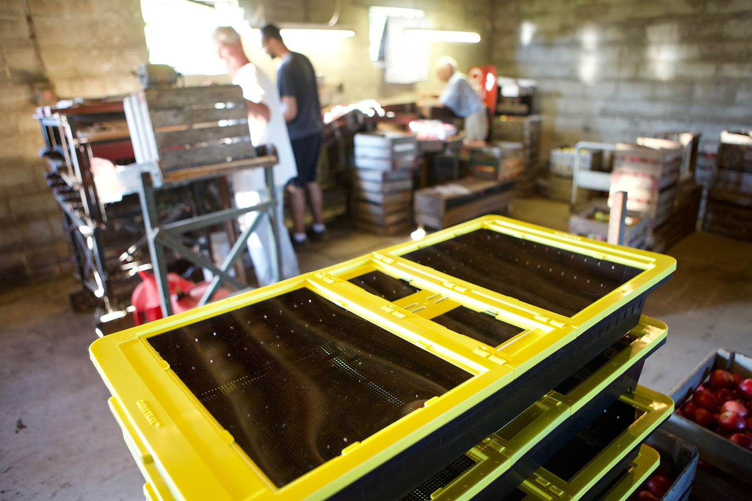 Solar Drying Tray - JUA Technologies International