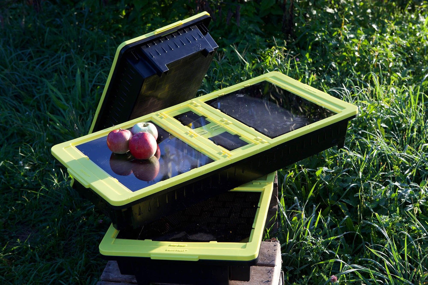 Dehytray™: Solar Food Dehydrator - JUA Technologies International